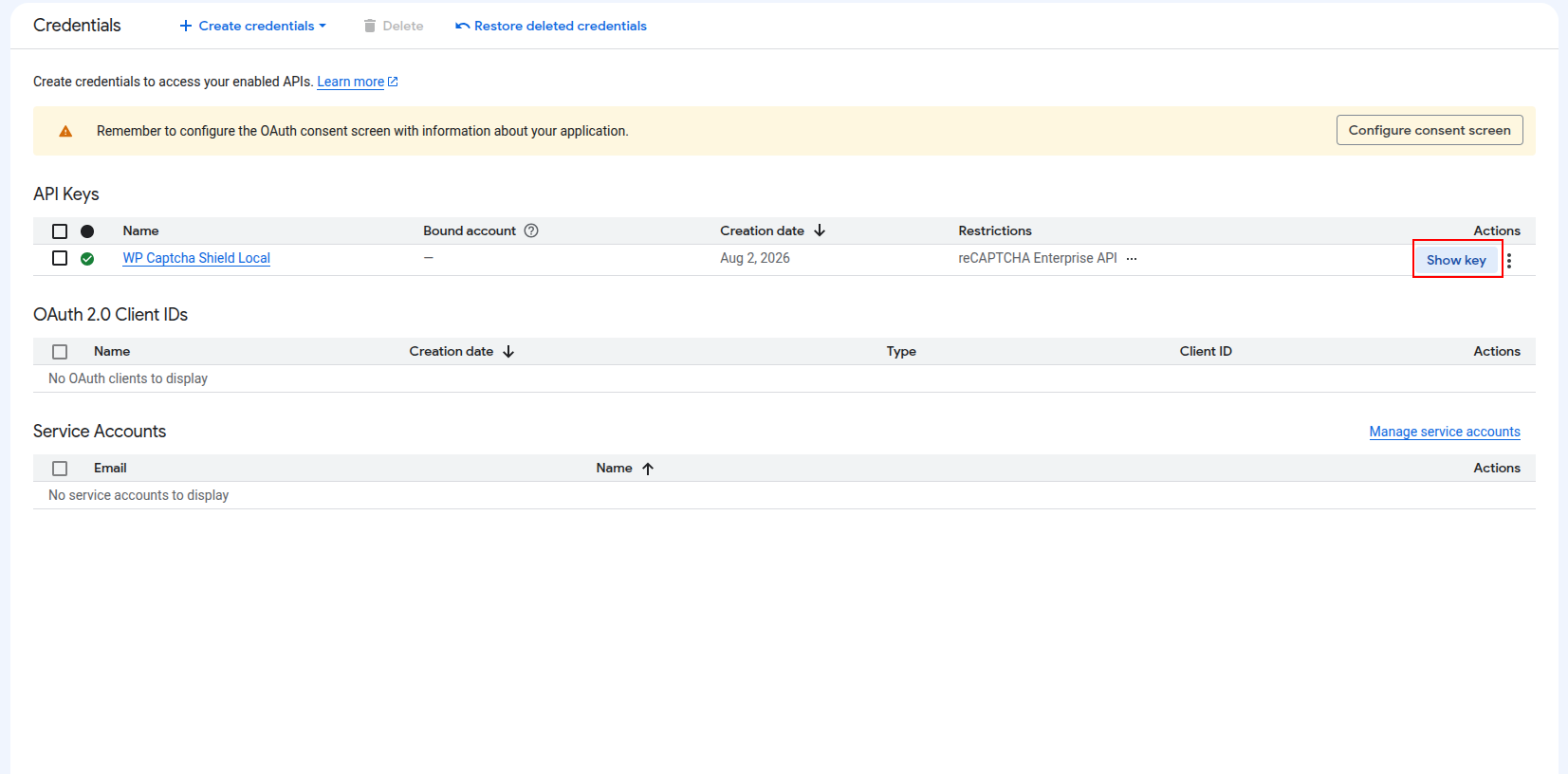 Show the Google Cloud API key