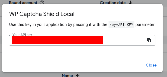 Copy the Google Cloud API key